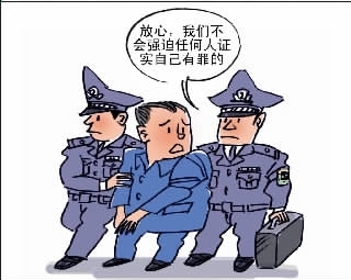 未决羁押,刑事诉讼